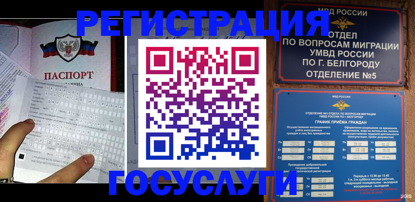 временная регистрация в квартире в Приморском крае